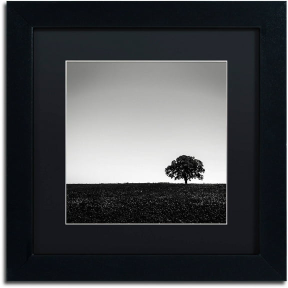 Trademark Fine Art "One Tree Hill" Canvas Art by Dave MacVicar, Black Matte, Black Frame