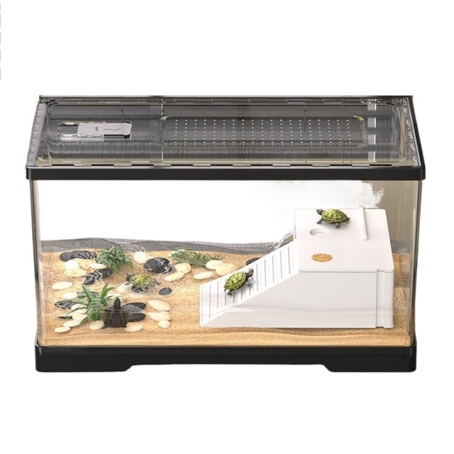 Boîte d'Alimentation pour Tortue, Animal Grimpant, Salon avec Couvercle