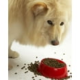 thumbnail image 4 of Nutripack 777214 4.4 lbs Evangers Super Premium Game Bird Recipe with Coconut Oil Dry Dog Food, 4 of 16