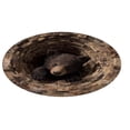 thumbnail image 1 of WMQPNNS 3D Animal Round Rug Large Living Room Area Rug Stain Washable Soft Floor Mat for Sofa, 1 of 3