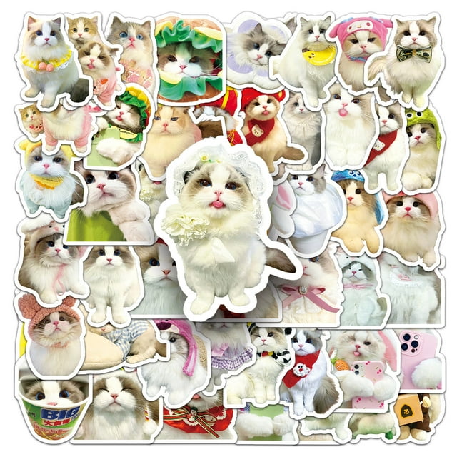 Calcomanías de vinilo con forma de gato, 50 unidades, lindas caricaturas de animales