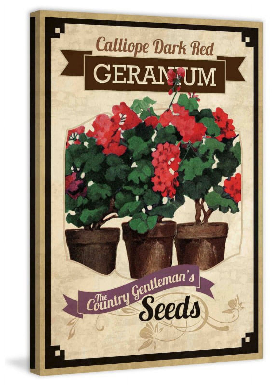 "Flower Packet Geranium" Painting Print on Canvas