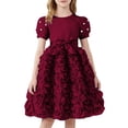 thumbnail image 3 of Blekii Petite Fit Dress Long Sleeve Crewneck Dresses Casual Spring Summer Birthday Tulle Midi Dress Wine 6Y, 3 of 4