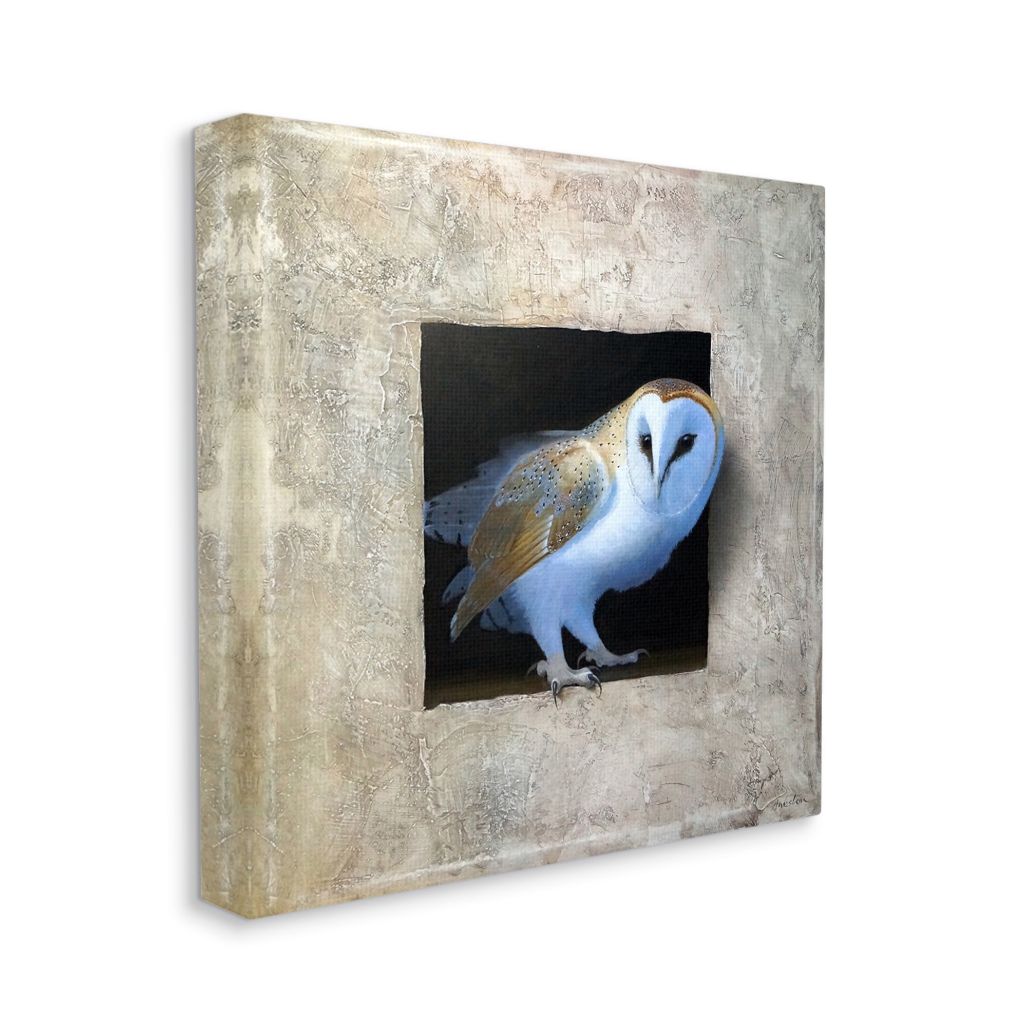 Stupell Industries Mysterious Barn Owl Peering From Darkness Painting Painting Gallery Wrapped Canvas Print Wall Art, Design by Alan Weston