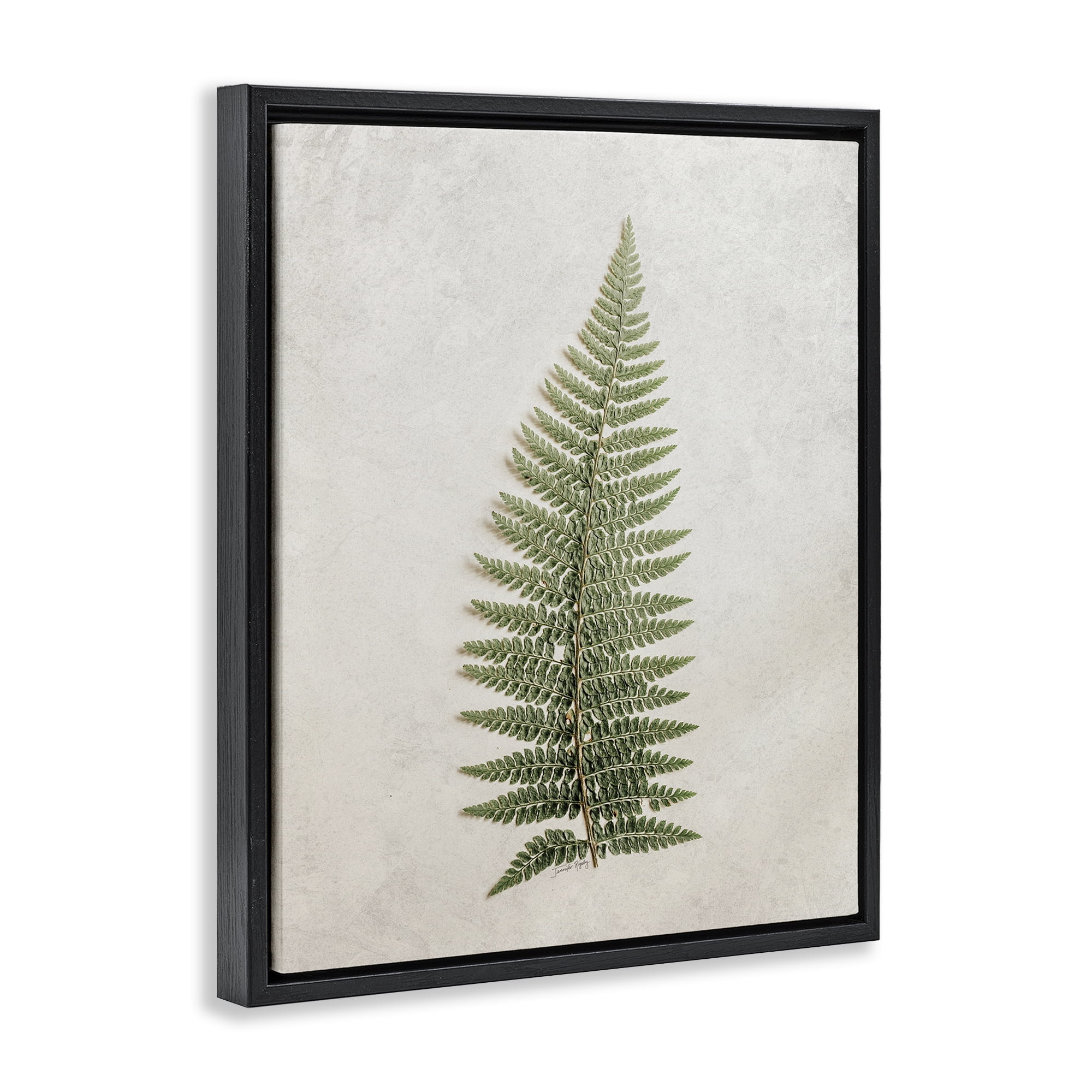 Stupell Industries Detailed Fern Frond Botanical & Floral Painting Black Floater Framed Art Print Wall Art, 17 x 21