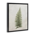 thumbnail image 3 of Stupell Industries Scandinavian Detailed Fern Frond Black Floating Frame Canvas Art, 17 x 21, by Jennifer Rigsby, 3 of 8