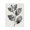Vintage Botanical Illustration_v1, variant on Stupell Industries Cottage Black Framed Giclee Art, 11 x 14, by Tina Higgins Designs Inc.