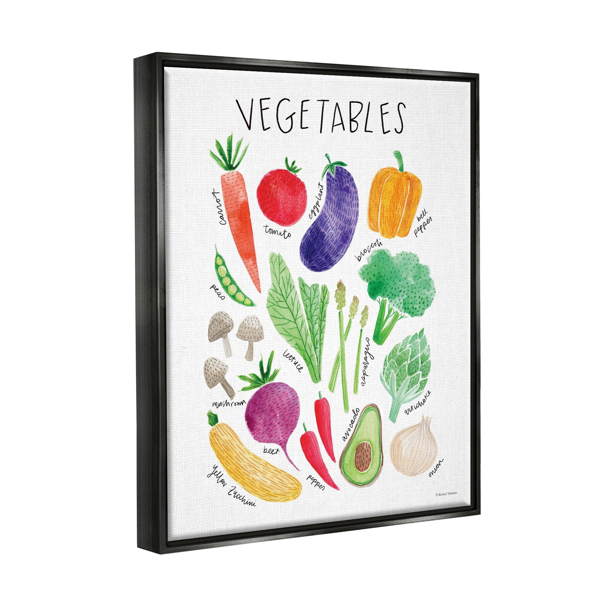 Stupell Industries Varied Vegetables Plants Labeled Diagram Kitchen Sign Graphic Art Jet Black Floating Framed Canvas Print Wall Art, Design by Rachel Nieman