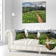 thumbnail image 2 of Designart Path Through Flowering Fields - Landscape Printed Throw Pillow - 18x18, 2 of 4