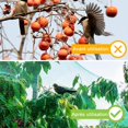 thumbnail image 4 of Bird Protection Net,4 x 10 m Garden Netting Anti-Bird Netting Nylon Protective Net for Plants, 4 of 5