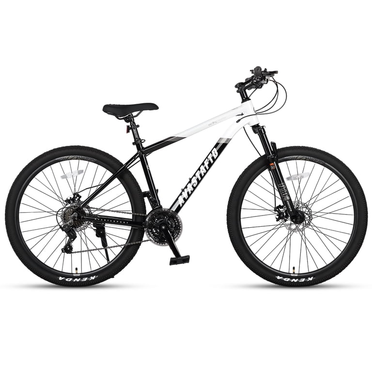 AVASTA 26-inch Mountain Bike, Aluminum Alloy Frame, Dual Disc