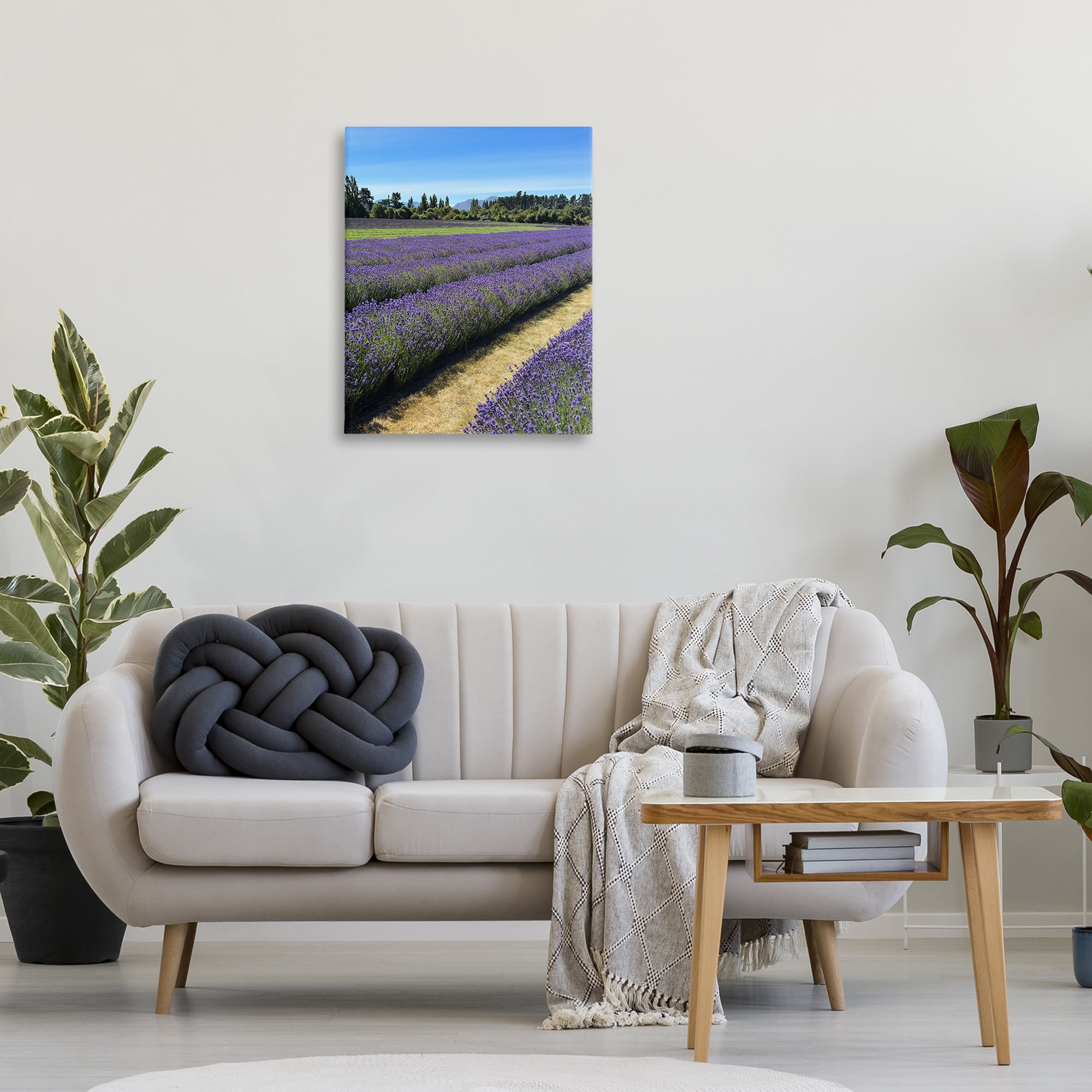 Stupell Industries Lavender Path Landscape Landscape Photography Gallery Wrapped Canvas Art Print Wall Art, 24 x 30