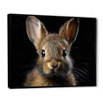 thumbnail image 2 of Designart "Portrait of a Cute Rabbit" Animals Floater Framed Canvas Wall Art, 2 of 7
