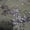 Gunmetal, variant on Floral Sequin Embroidery | Elite Master Grade Design | Spandex Palace
