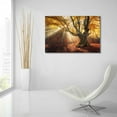 thumbnail image 6 of Epic Art 'Enchanted Forest,' Acrylic Glass Wall Art, 36"x24", 6 of 8