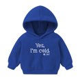 thumbnail image 2 of Elainilye Fashion Kids Hoodies Winter Fleece Sweatshirts Toddler Boys Girls Hooded Sweatshirts Children Cartoon Pullover Top Outerwear,Blue, 2 of 5