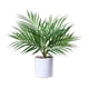 thumbnail image 1 of Advancent Plantas de palma falsas respetuosas del medio ambiente elegantes de bajo mantenimiento de la palmera tropical de cerámica plástica Decoración, 1 of 6