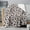 Football Leopard Spot White Pattern, variant on Football Bow White Pattern Soft Sherpa Fleece Throw Blanket, Warm Cozy Plush Blanket for Sofa Bed Couch, All Season, 60"x80"