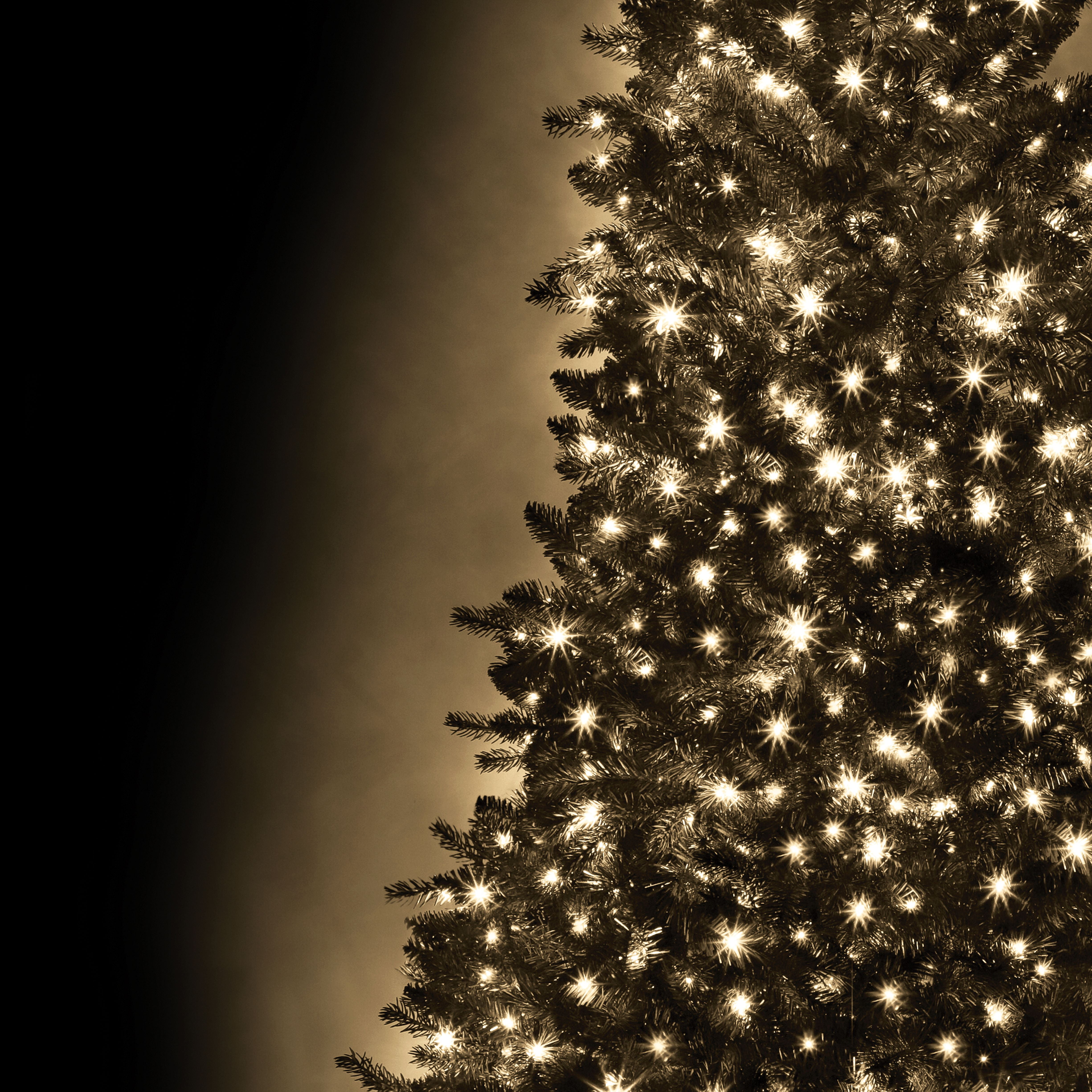 Danson Décor 250 M5 Plug In LED String Light, Warm White, 250CT M5 LED WARM WHITE