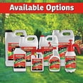 thumbnail image 4 of Natural Deer Repellent [2 PACK: Mint Scent + Spice Scent] - Deer Spray for Gardens & Plants – Two 32oz Ready-to-Use Bottles, 4 of 9