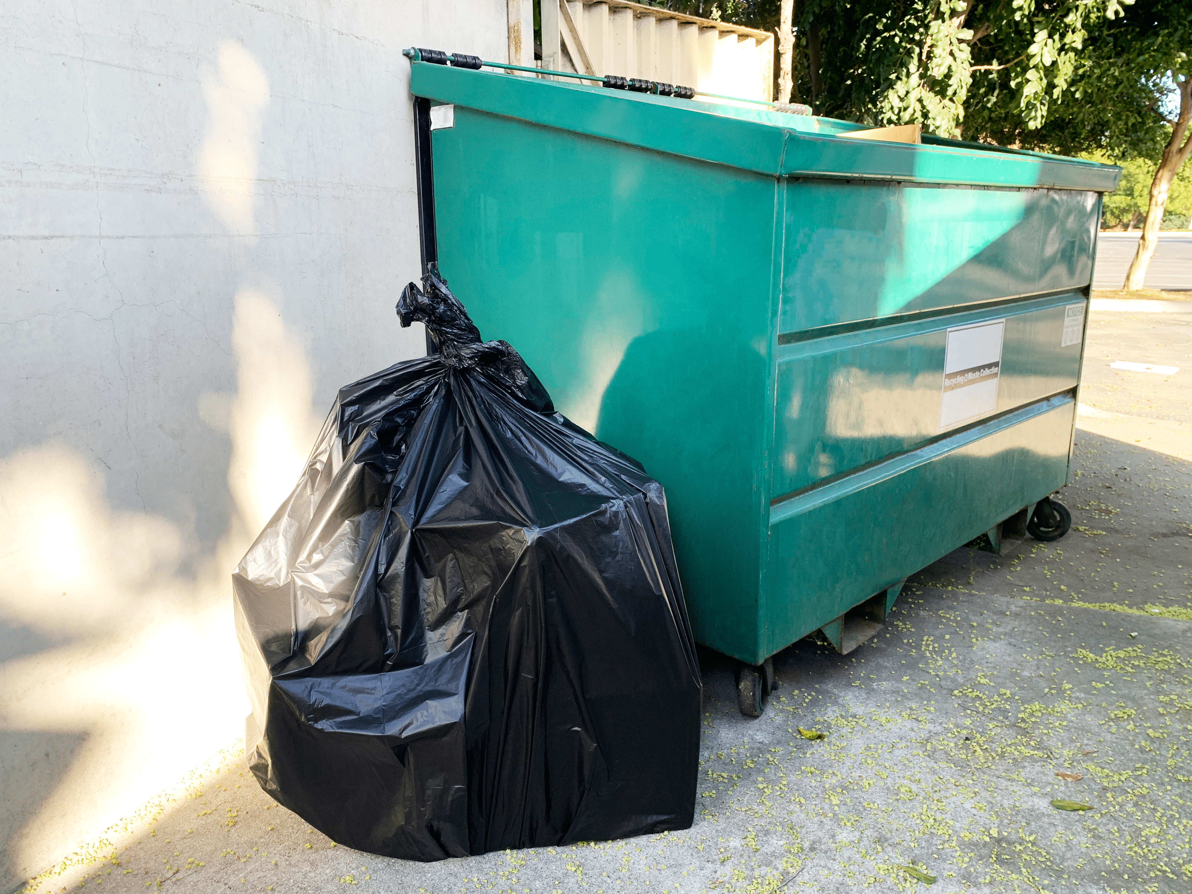 Reli. 95 Gallon Trash Bags Heavy Duty Clear Garbage Bags, Drum