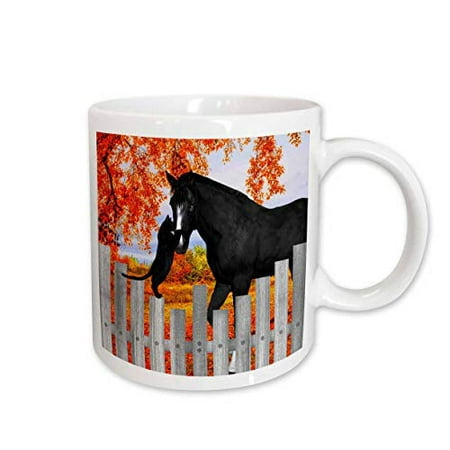 

3dRose Precious black cat and black horse sharing a moment of friendship behind a picket fence in autumn. Ceramic Mug 15-ounce