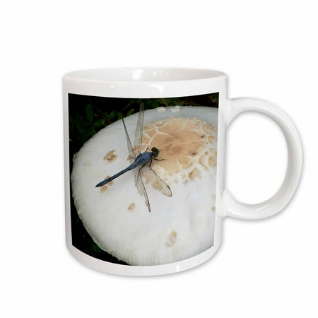 

3dRose Blue dragonfly on mushroom Ceramic Mug 11-ounce