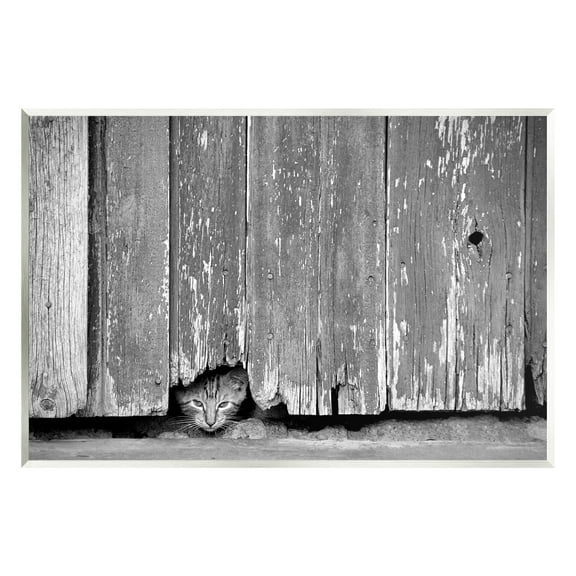 Stupell Industries Rustic Cat Peeking Animals & Insects Photography Unframed Art Print Wall Art, 15 x 10
