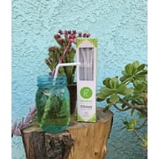 Repurpose Compostable Bendable Straws