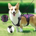 thumbnail image 4 of Pet Vest For Walking With Handle Adjustable Reflective Dog Cat Harness Zebra Print, 4 of 7