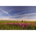 thumbnail image 1 of Posterazzi DPI1776635 Rural Landscape Alberta Canada Poster Print by Carson Ganci, 17 x 11, 1 of 1