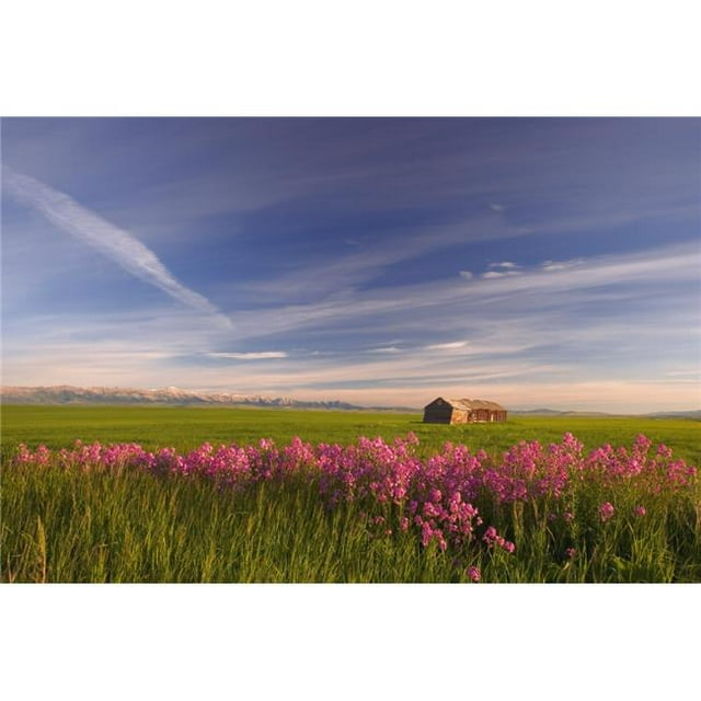 Posterazzi DPI1776635 Rural Landscape Alberta Canada Poster Print by Carson Ganci, 17 x 11
