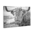 thumbnail image 3 of Stupell Industries Farmhouse Close Up Fuzzy Cattle Canvas Art, 24 x 16, by Jasper Huish, 3 of 8