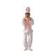 thumbnail image 1 of CONEJITO-NIÑO MEDIANO RG Costumes 90050-M, 1 of 1