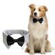 thumbnail image 2 of Ajustable perro corbata de cuello del perro con el perro negro corbata de boda formal para perros pequeños medianos grandes lazo de solapa, 2 of 7
