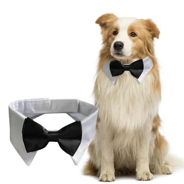 WIFKLSIIPG Collier Ajustable pour Chien avec Cravate Noire Collier de Mariage Formel pour Petits Moyens Grands Chiens Animaux de Compagnie Collier à Nœud