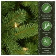 thumbnail image 2 of National Tree Company 7.5 ft Pre-Lit Downswept Douglas Fir Full Artificial Christmas Tree, 750 Clear Lights, 1867 Tips, Includes Stand, Green, 2 of 8