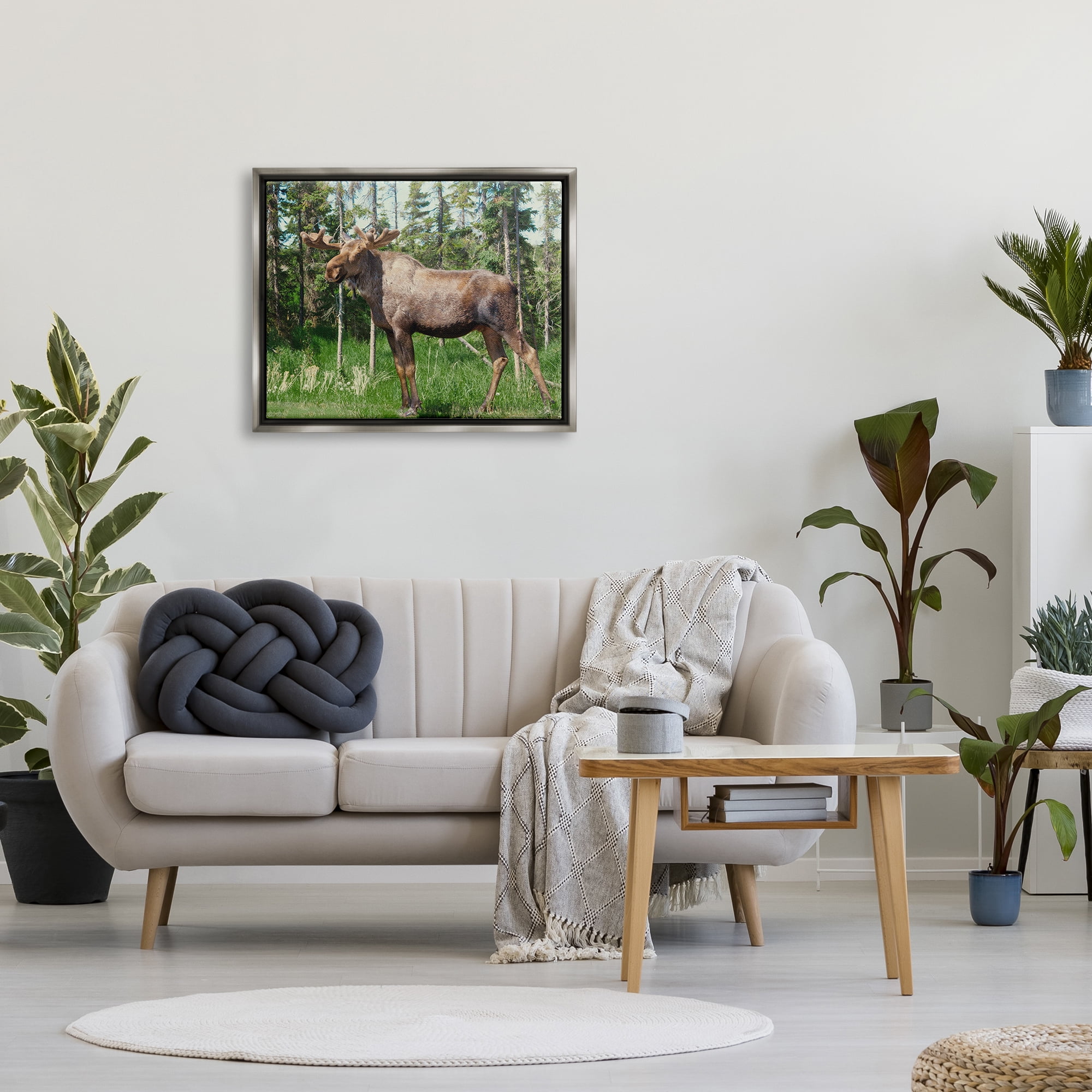Stupell Moose Forest Grove Woodland Landscape Animals & Insects Photography Gray Floater Framed Art Print Wall Art