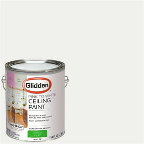 Zinsser Ceiling Paint With Superior Stain Blocking Bright White