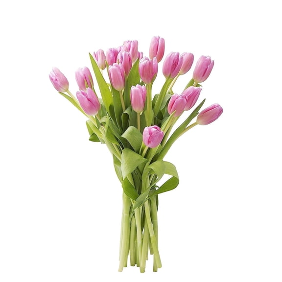 KaBloom :15 Pink Tulip, Next-Day Delivery, Gift for Every Occasion.