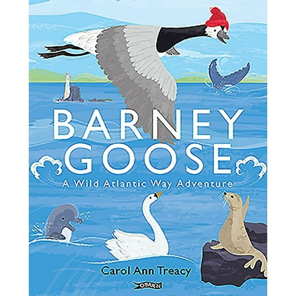 Barney Goose: A Wild Atlantic Way Adventure (Hardcover)