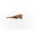 thumbnail image 6 of Schleich Wild Life - Iguana Animal Toy for Boys and Girls - Lizard Figurine - Kids Ages 3+, 6 of 6
