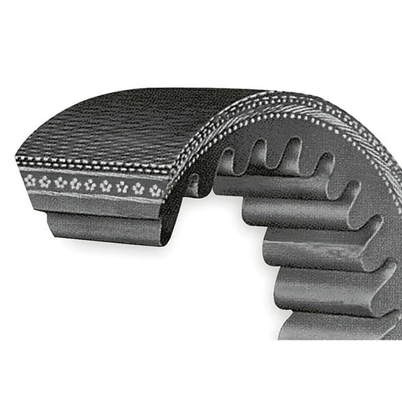 RAParts AM71352729 Belt - Air Conditioner Compressor