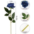 thumbnail image 2 of 10pcs Fake Black Roses Artificial Silk Flowers Faux Rose Flower Long Stems Bouquet for Arrangement Wedding Centerpiece Party Home Kitchen Decor (Black), 2 of 5