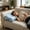 Light Blue, variant on LHNFT Cooling Silk Pillow,Breathable Soft Bed Pillow,Plush Cooling Fiber Core for Hot Sleepers & Night Sweats