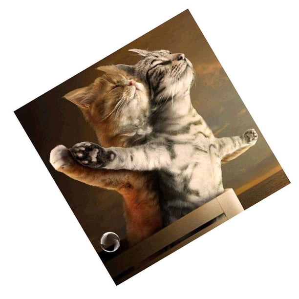 Bewildely Pintura de diamantes con temática de animales, punto de cruz, hogar, sala de estar, oficina, pasillo, decoración de pared, bordado de cristal Artesanía Bewildely HA000018-00B