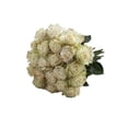 thumbnail image 2 of "Painted Joy Confetti" Roses - 50 cm - Fresh Cut Flowers - 50 Stems - White Roses - by Bloomingmore, 2 of 9
