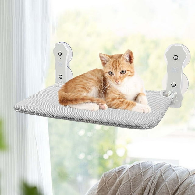 Percha montada en Ventana para gatos Fernando Cama de gato Ventana de cama de gato