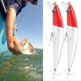 thumbnail image 1 of Cebo De Pesca Hundido, Aparejos De Pesca, Nitidez, Gancho Con Ranura Para Sangre, 2 Piezas, Entusiastas De La Pesca Para Pesca En Hielo, Tienda De Aparejos De Pesca, Pesca Salvaje, 1 of 7