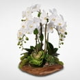 thumbnail image 2 of Real Touch 6-Stem Phalaenopsis Orchids - White, 2 of 5
